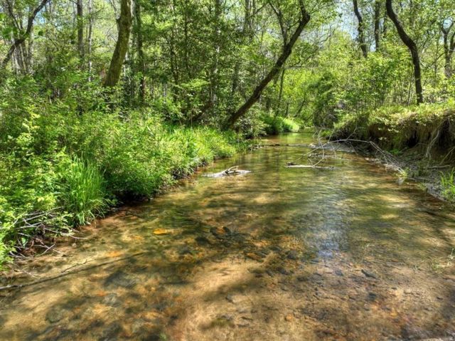 76 E Bevan Lane, Blue Ridge, GA 30513