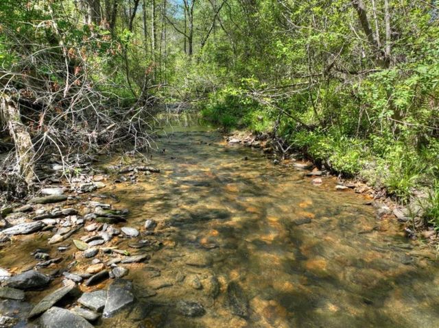 76 E Bevan Lane, Blue Ridge, GA 30513