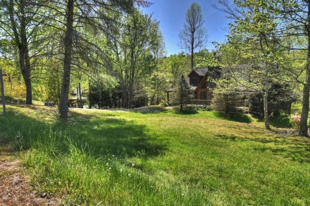 76 E Bevan Lane, Blue Ridge, GA 30513