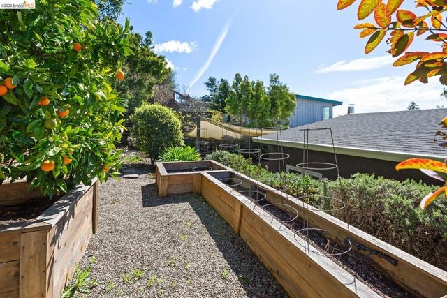 1119 1119 Miller Ave, Berkeley, CA 94708