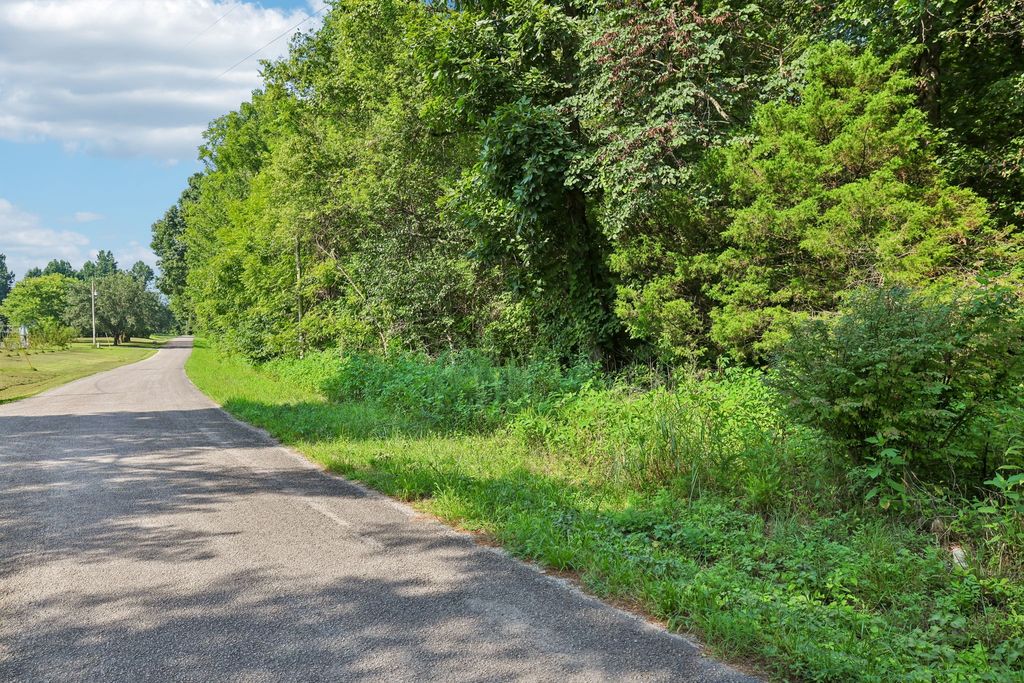 230 Moreland Rd, Manchester, TN 37355