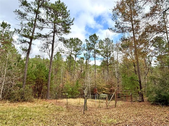 235 Private Road 6912, Colmesneil, TX 75938