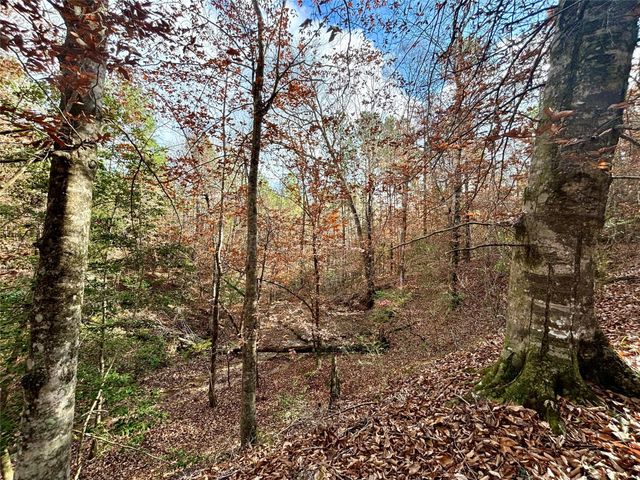 235 Private Road 6912, Colmesneil, TX 75938