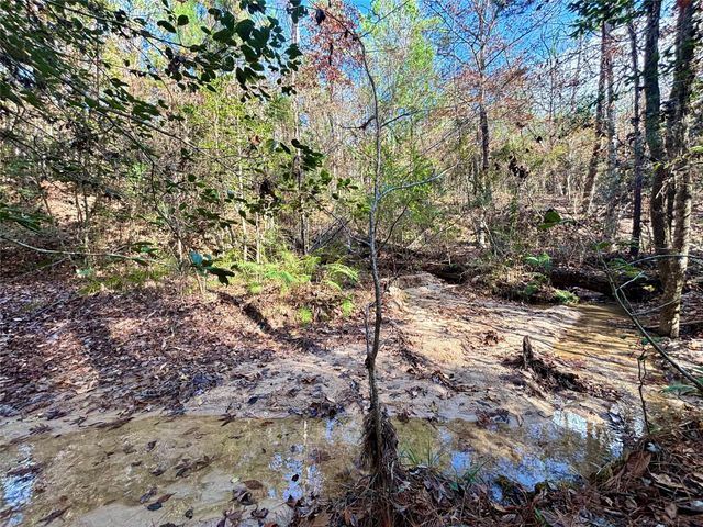 235 Private Road 6912, Colmesneil, TX 75938