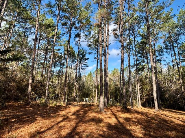 235 Private Road 6912, Colmesneil, TX 75938