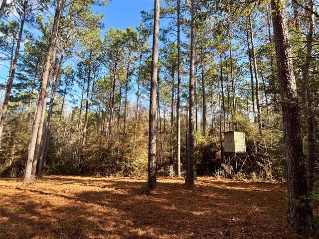 235 Private Road 6912, Colmesneil, TX 75938