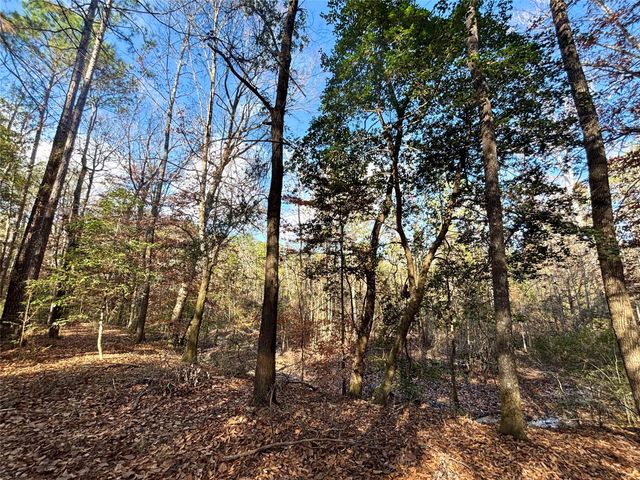 235 Private Road 6912, Colmesneil, TX 75938