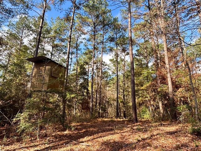 235 Private Road 6912, Colmesneil, TX 75938