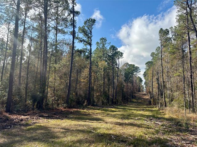 235 Private Road 6912, Colmesneil, TX 75938