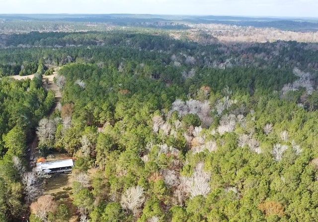 235 Private Road 6912, Colmesneil, TX 75938