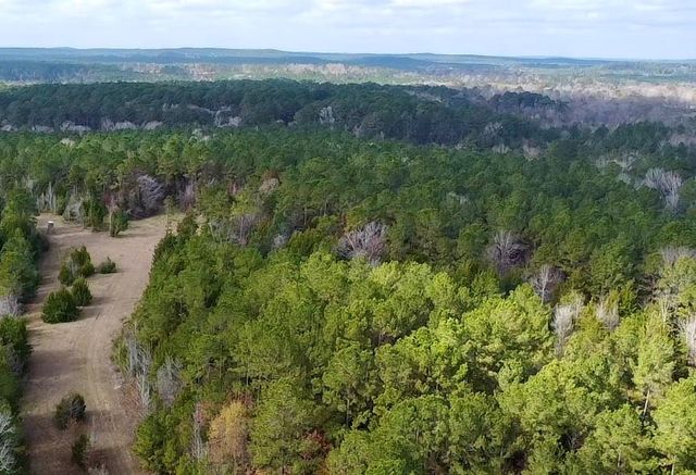 235 Private Road 6912, Colmesneil, TX 75938