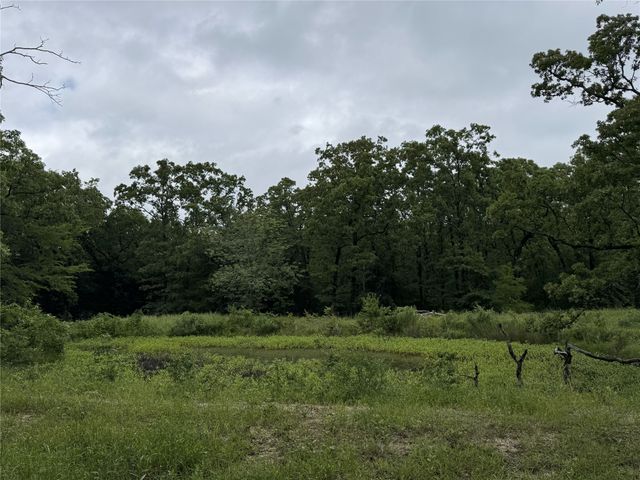 TBD Rs County Road 3360, Emory, TX 75440