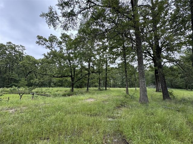 TBD Rs County Road 3360, Emory, TX 75440