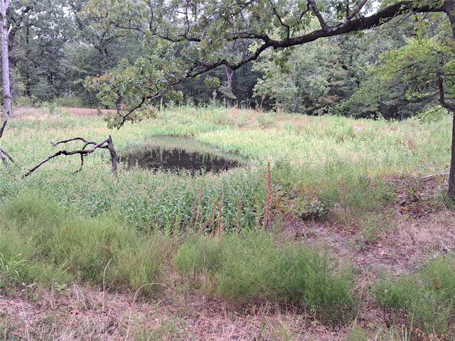 TBD Rs County Road 3360, Emory, TX 75440