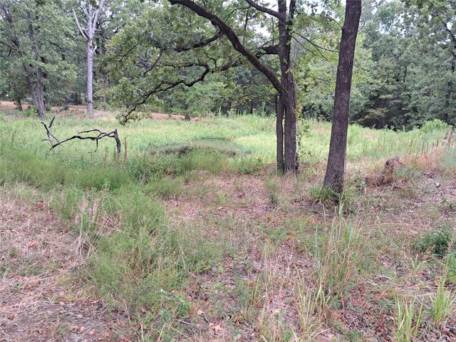 TBD Rs County Road 3360, Emory, TX 75440
