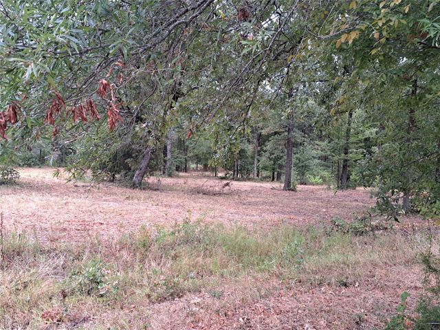 TBD Rs County Road 3360, Emory, TX 75440