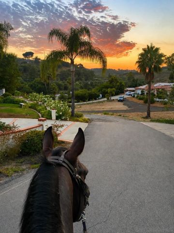 4515 Baja Mission Road, Fallbrook, CA 92028
