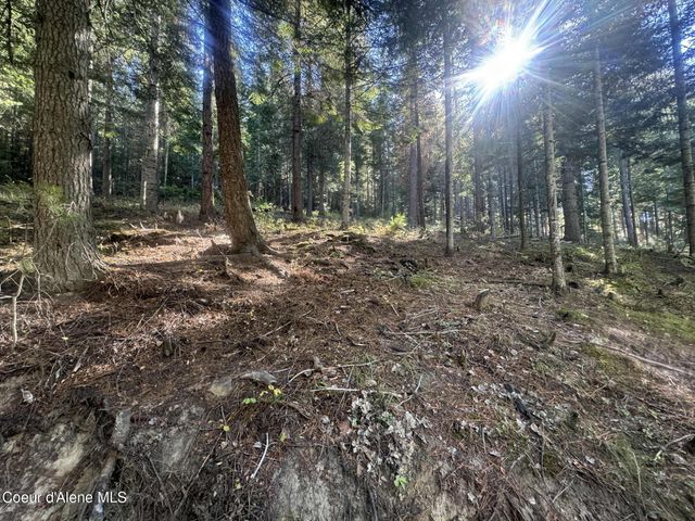 94 Lochsa Ln, Kingston, ID 83839