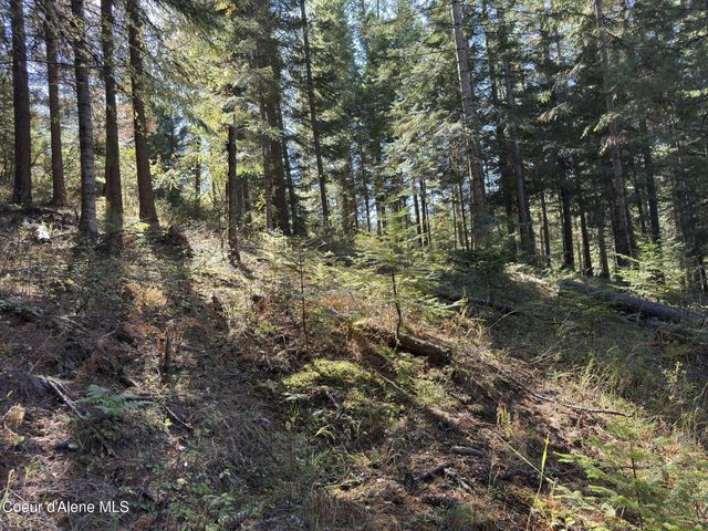 94 Lochsa Ln, Kingston, ID 83839