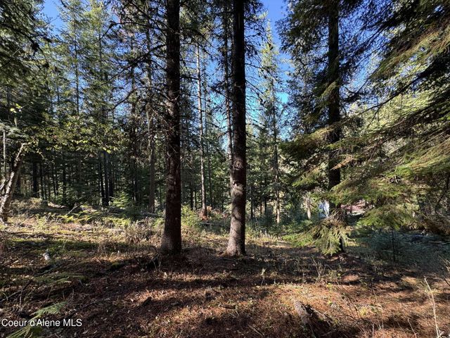 94 Lochsa Ln, Kingston, ID 83839