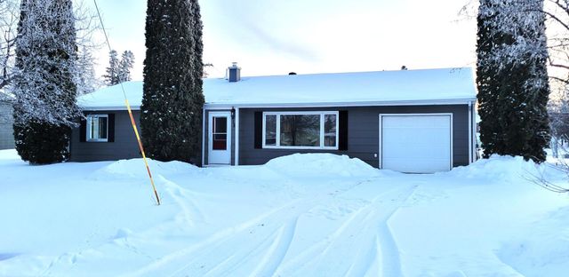 412 E Hamilton Avenue, Baudette, MN 56623