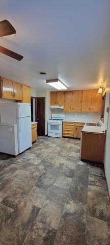 412 E Hamilton Avenue, Baudette, MN 56623