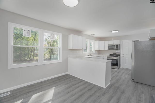 719 Camelia Street, North, SC 29112