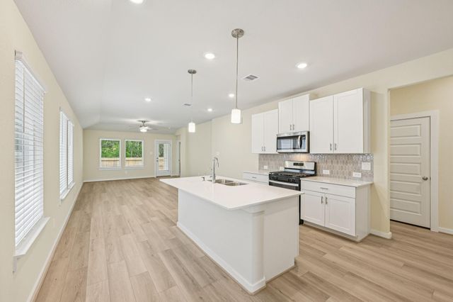 16687 Sterling Cliff Street, Conroe, TX 77302