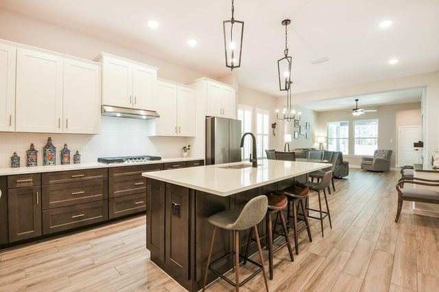 17463 Vino Vines Lane, Conroe, TX 77302