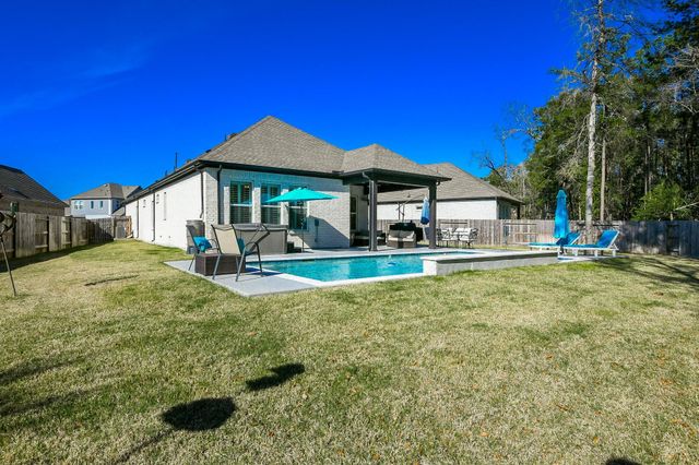 17463 Vino Vines Lane, Conroe, TX 77302