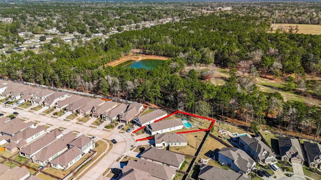 17463 Vino Vines Lane, Conroe, TX 77302
