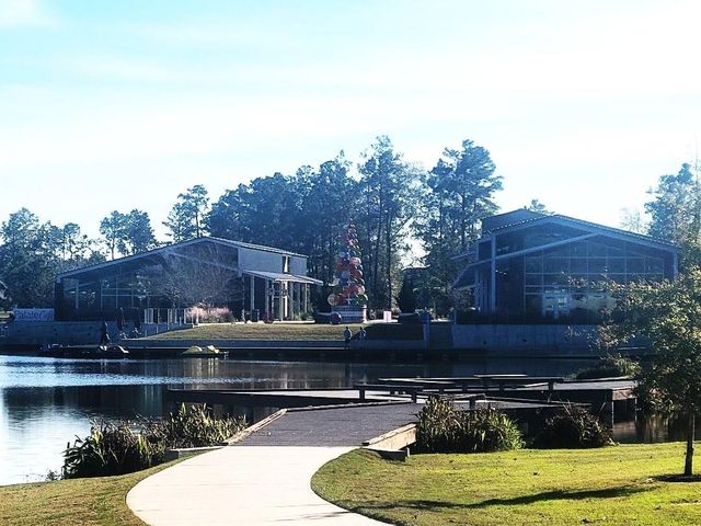 17463 Vino Vines Lane, Conroe, TX 77302