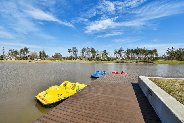 17463 Vino Vines Lane, Conroe, TX 77302