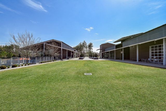 17463 Vino Vines Lane, Conroe, TX 77302