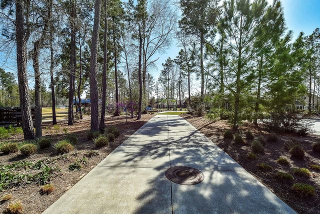 17463 Vino Vines Lane, Conroe, TX 77302