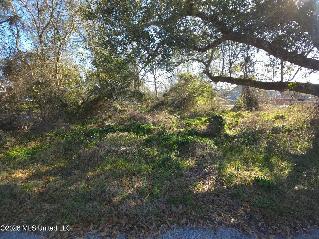 0 Hunter Avenue, Pass Christian, MS 39571