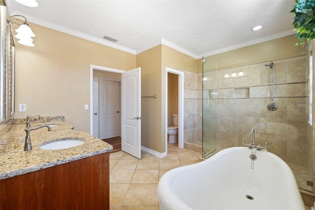 18756 WIMBLEDON CIRCLE, Lutz, FL 33558