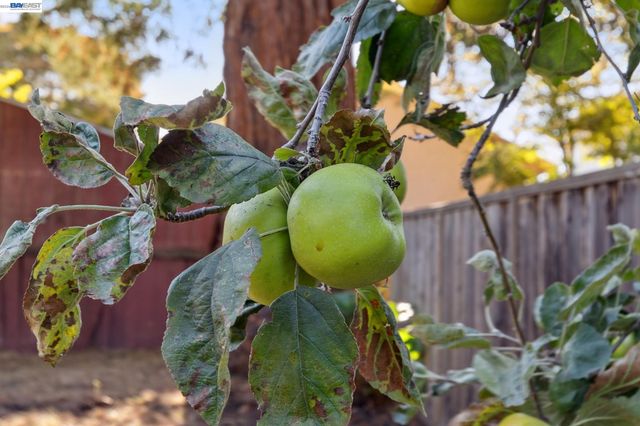 3246 Garfield Ave, Alameda, CA 94501