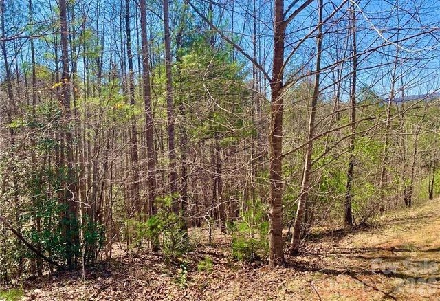 Lot 148 Rocky Falls Lane 148, Lenoir, NC 28645