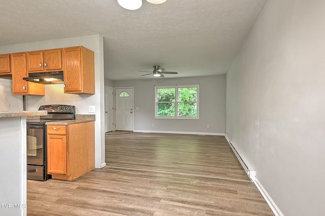 1117 Hunting Hill Road, Piney Flats, TN 37686
