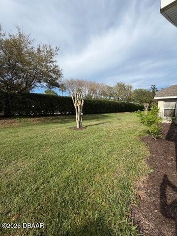 1459 Areca Palm Drive, Port Orange, FL 32128