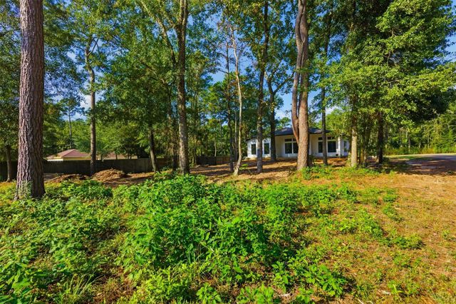 15128 Paradise Court, Willis, TX 77318