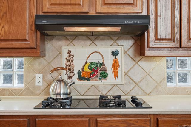 1619 Fawn Bluff, San Antonio, TX 78248