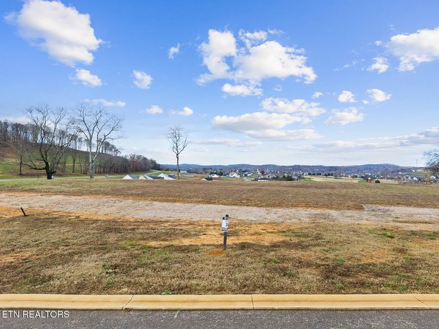 135 Magnolia Hill, Loudon, TN 37774
