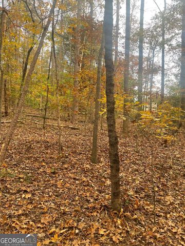 0 Lake Club Drive, Lavonia, GA 30553