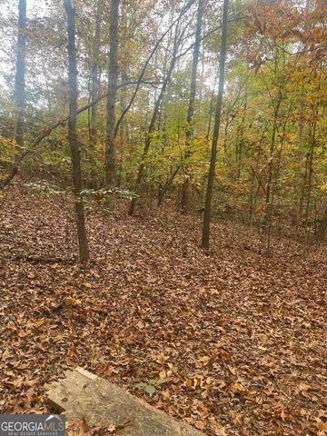 0 Lake Club Drive, Lavonia, GA 30553