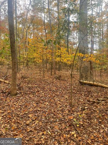 0 Lake Club Drive, Lavonia, GA 30553