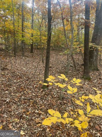 0 Lake Club Drive, Lavonia, GA 30553