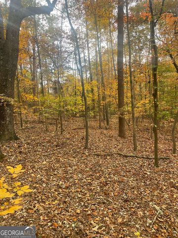 0 Lake Club Drive, Lavonia, GA 30553