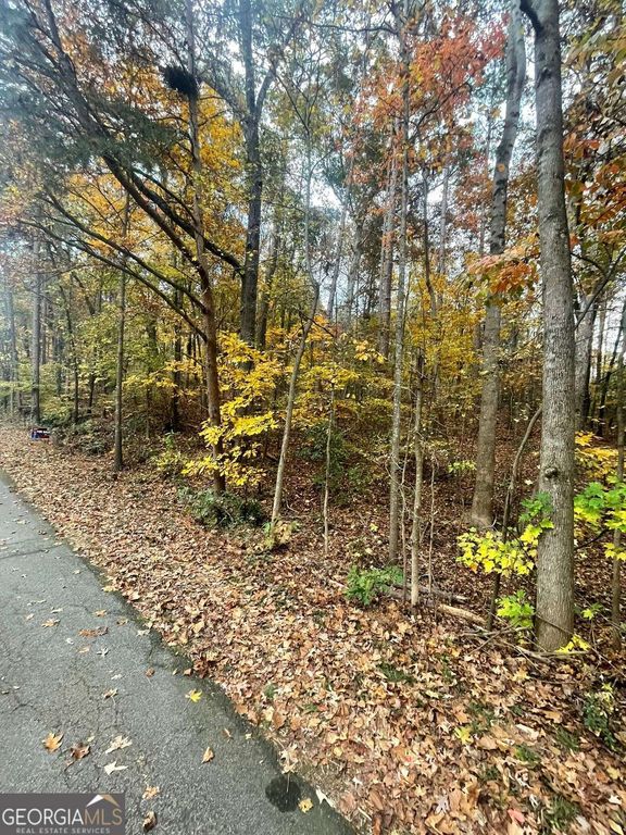 0 Lake Club Drive, Lavonia, GA 30553